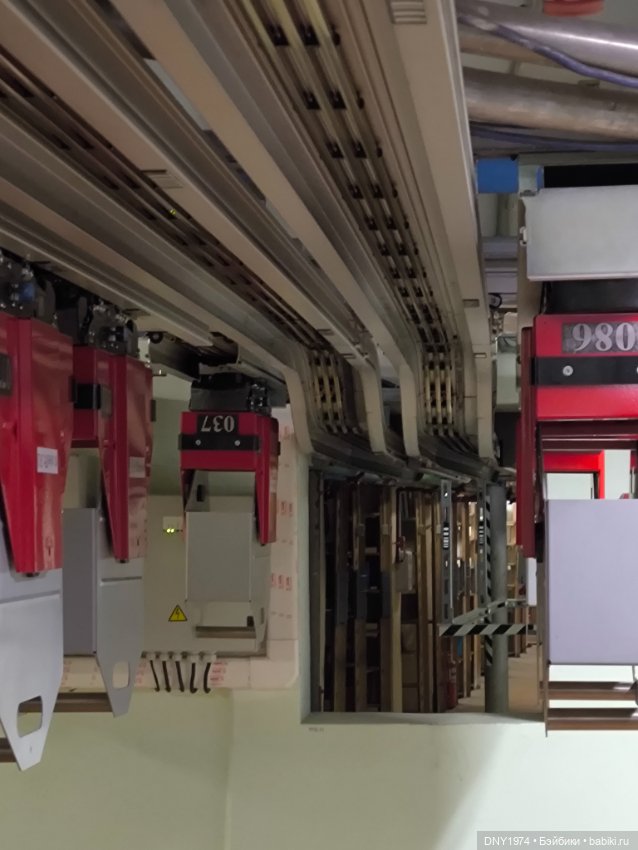 Практически МНС — Куклы Momoko и Ruruko (Petworks