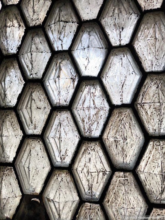 Практически МНС — Куклы Momoko и Ruruko (Petworks (фото 10)