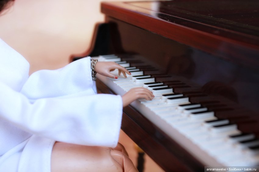 Карина за роялем — Коллекции шарнирных