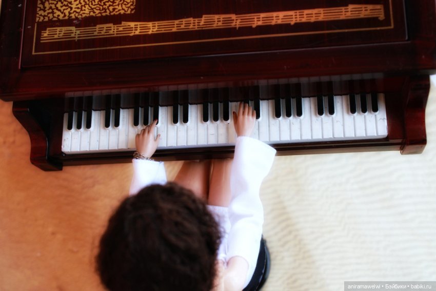 Карина за роялем — Коллекции шарнирных (фото 8)