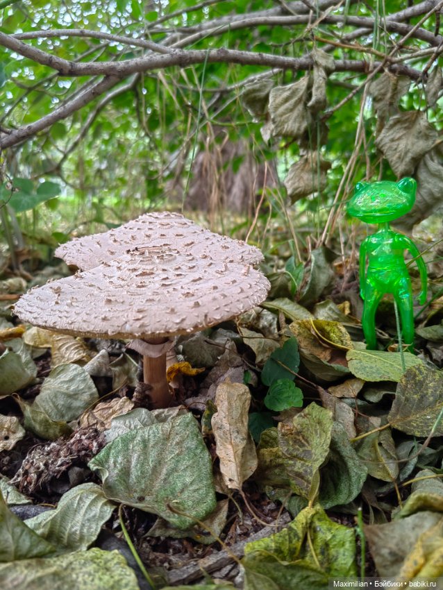 Мой карманный Wonder Frog (фото 4)