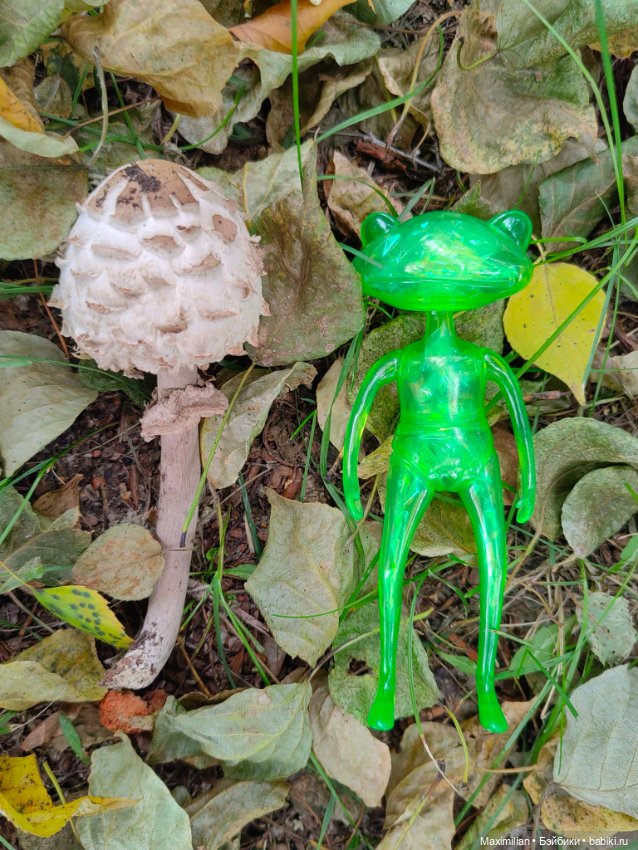 Мой карманный Wonder Frog