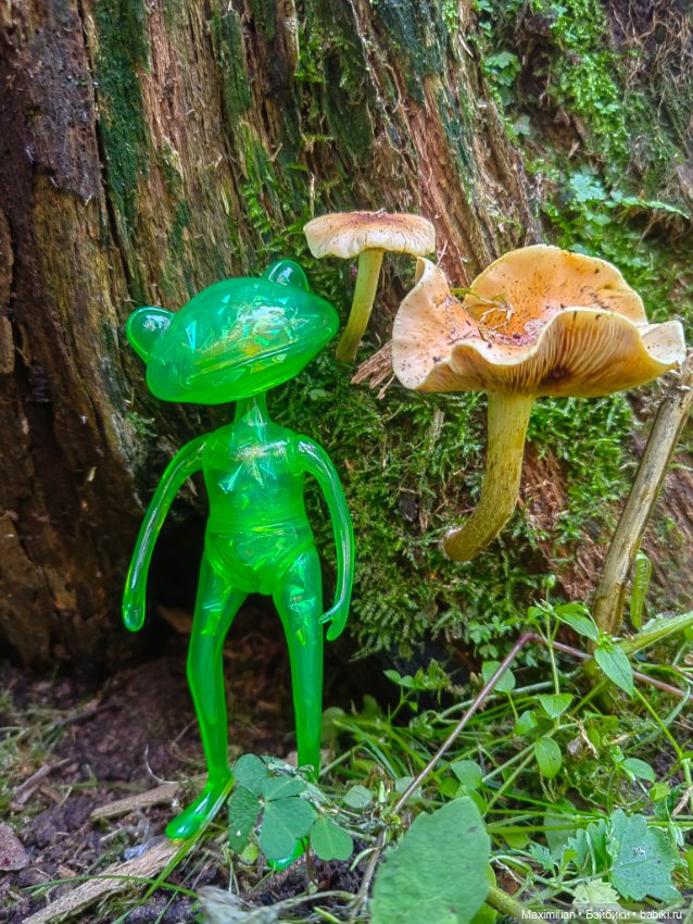 Мой карманный Wonder Frog (фото 8)