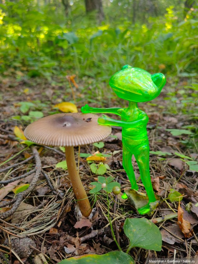 Мой карманный Wonder Frog (фото 5)