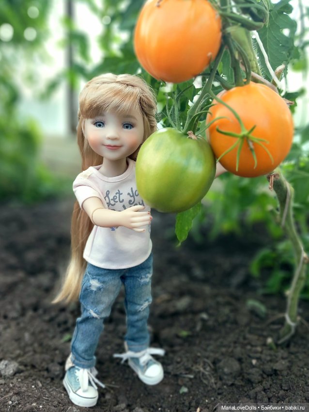 Дачное — Куклы Ruby Red (Руби Ред) Fashion Friends: Siblies (фото 3)