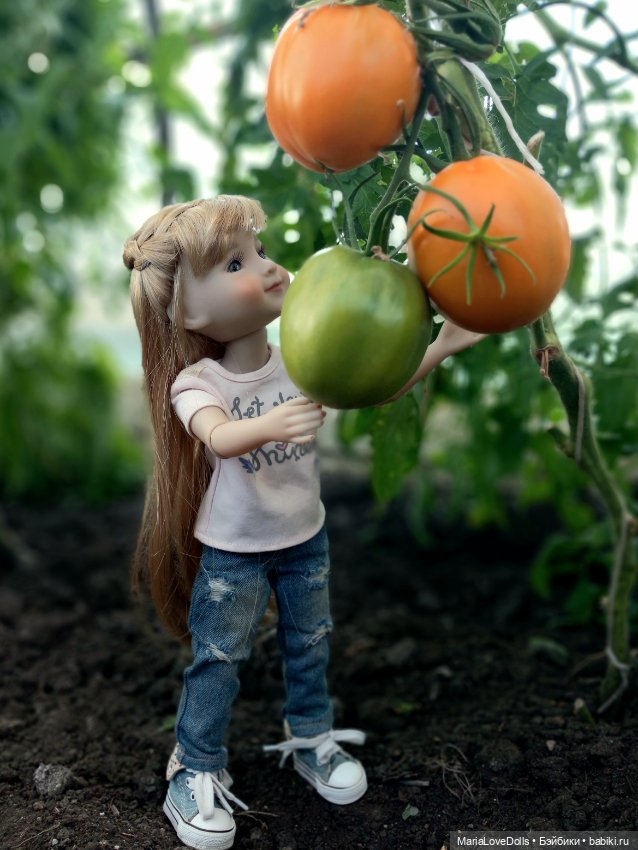 Дачное — Куклы Ruby Red (Руби Ред) Fashion Friends: Siblies (фото 2)