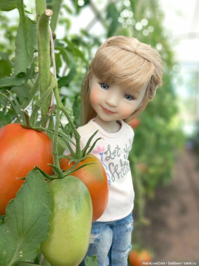 Дачное — Куклы Ruby Red (Руби Ред) Fashion Friends: Siblies (фото 10)