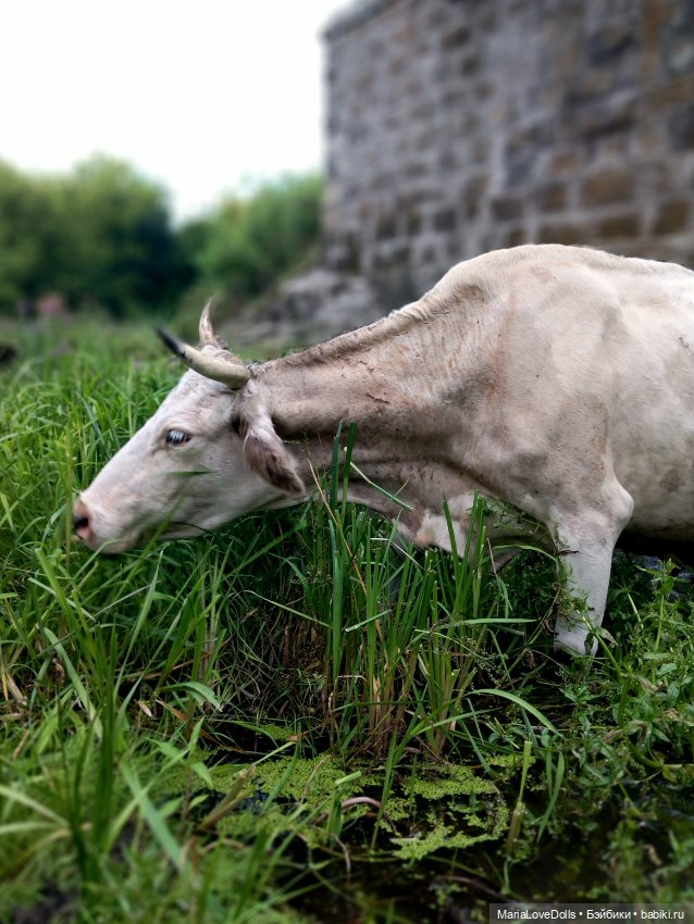 В окружении — Куклы Ruby Red (Руби Ред) Fashion Friends: Siblies (фото 2)