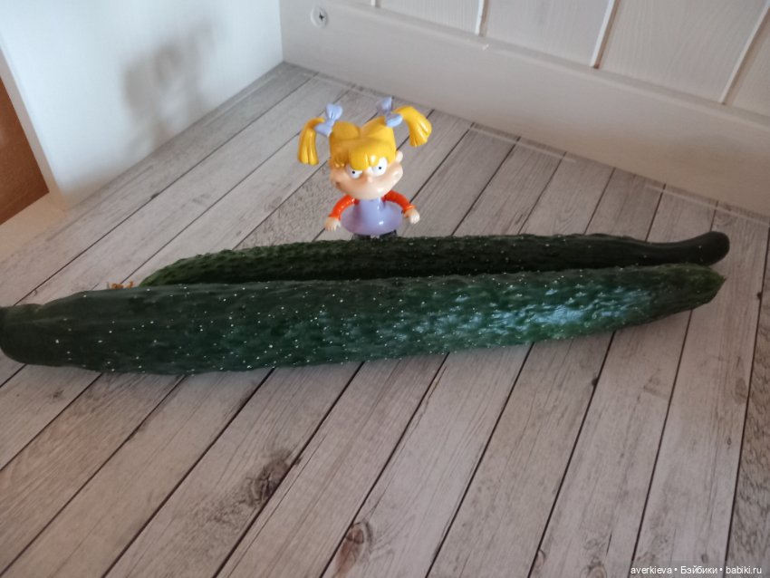 Делай добро и бросай его в воду (фото 5)