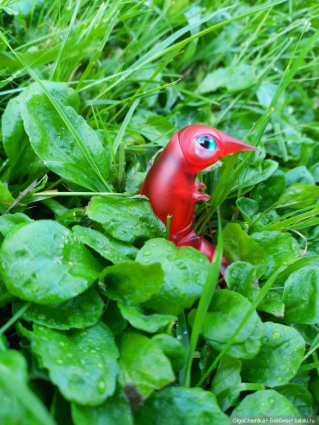 Маленькая, но гордая креветка 😃 (фото 6)