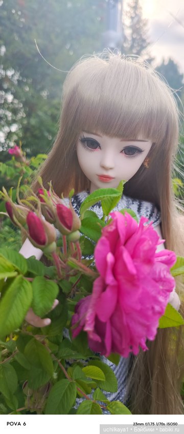 Красавица Сиора — Куклы Звезды подиума (Angel Collection): шарнирные