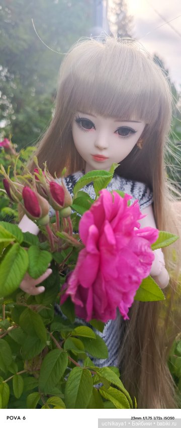 Красавица Сиора — Куклы Звезды подиума (Angel Collection): шарнирные