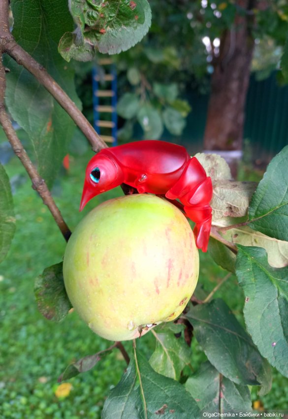 Маленькая, но гордая креветка 😃