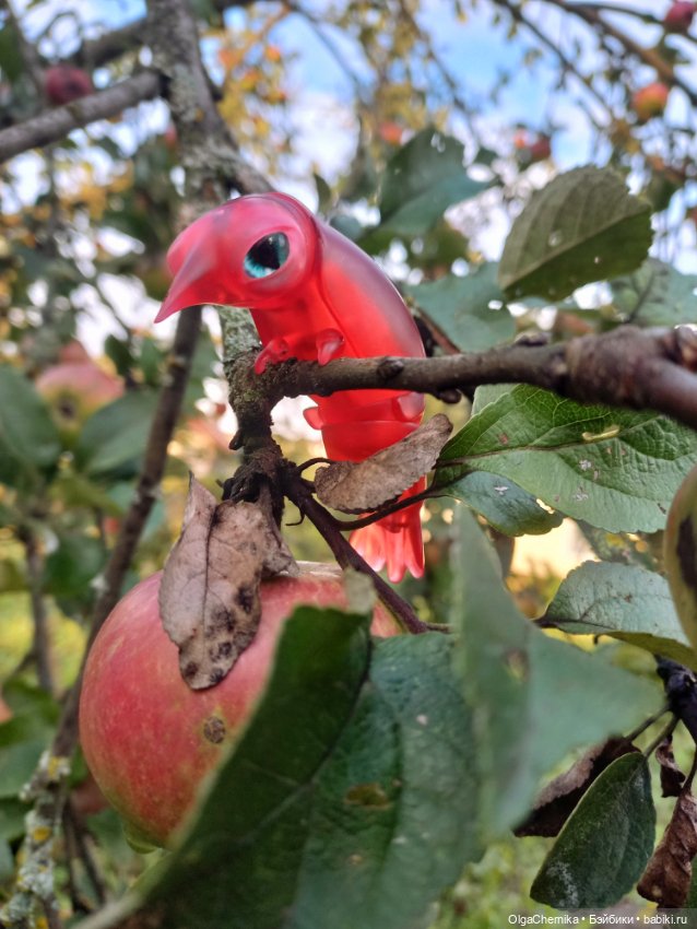 Маленькая, но гордая креветка 😃 (фото 8)