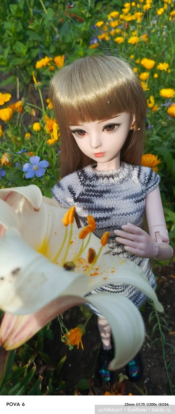 Красавица Сиора — Куклы Звезды подиума (Angel Collection): шарнирные