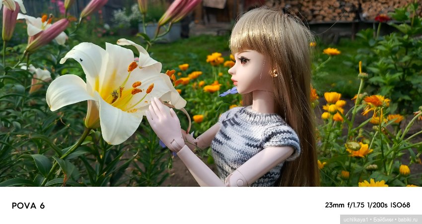 Красавица Сиора — Куклы Звезды подиума (Angel Collection): шарнирные