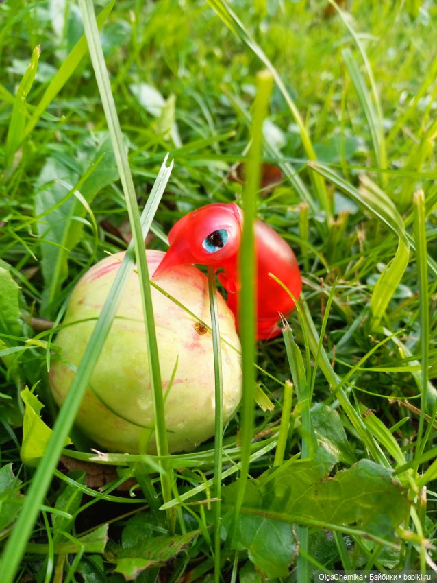 Маленькая, но гордая креветка 😃 (фото 4)