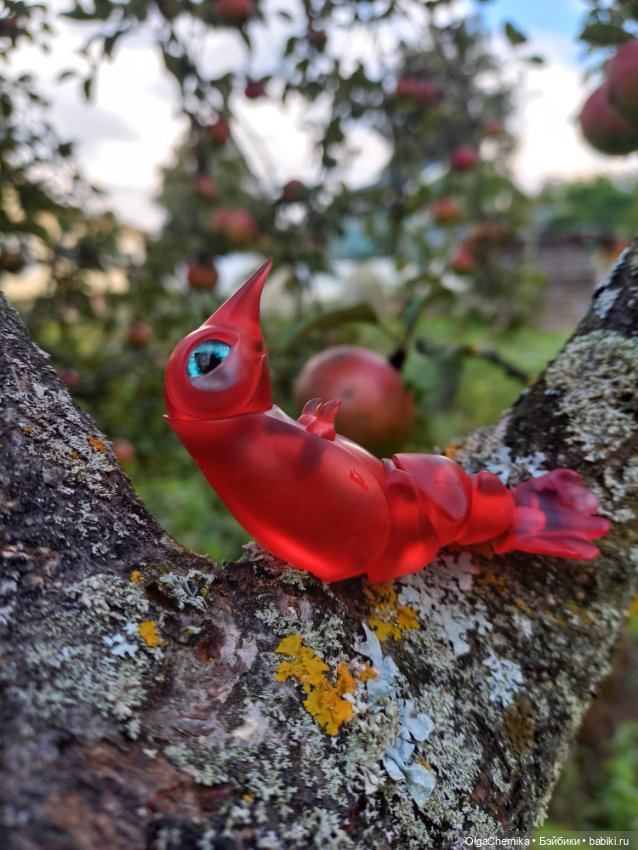 Маленькая, но гордая креветка 😃 (фото 9)