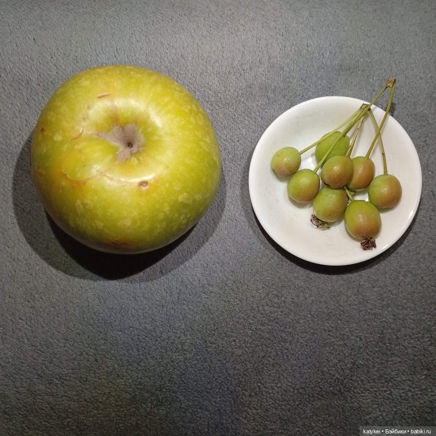 Махох сочиняет и Ко — Кукольные фотоистории и сериалы: комиксы (фото 4)