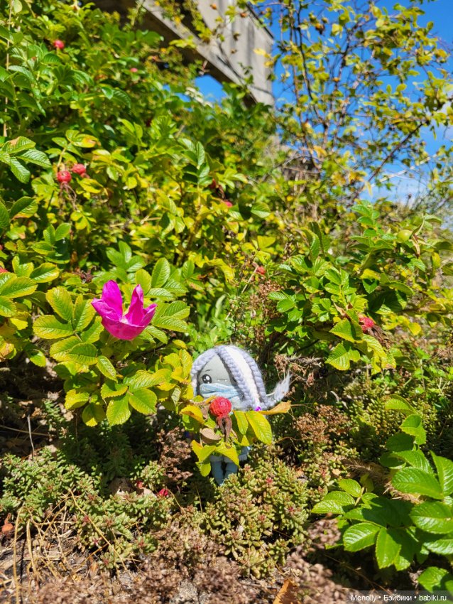 Принцесска из сказки — Домашние фото авторских кукол: личные коллекции