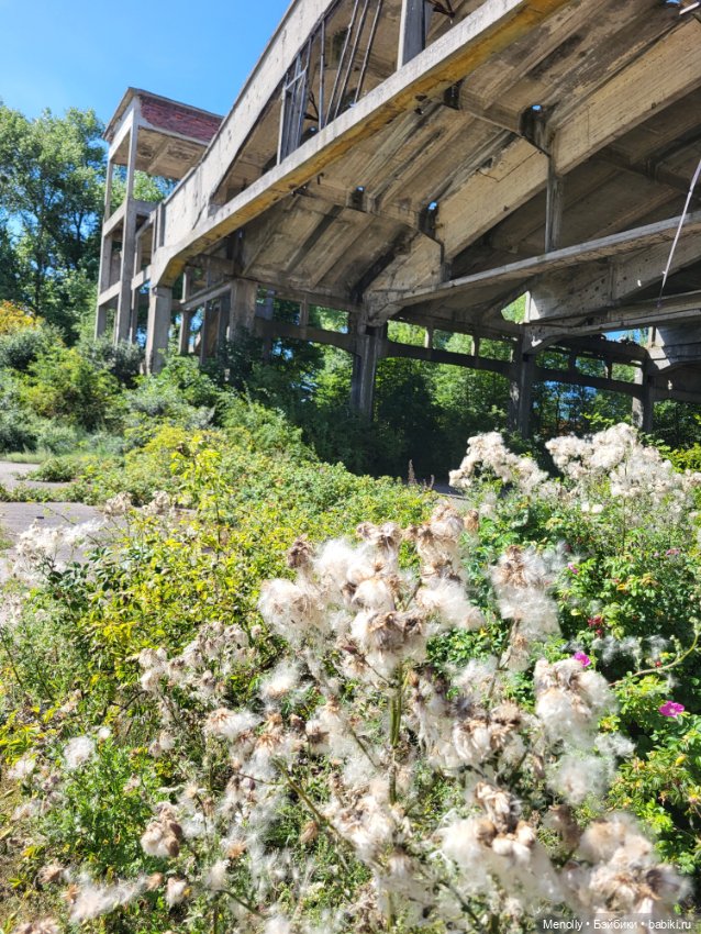 Принцесска из сказки — Домашние фото авторских кукол: личные коллекции