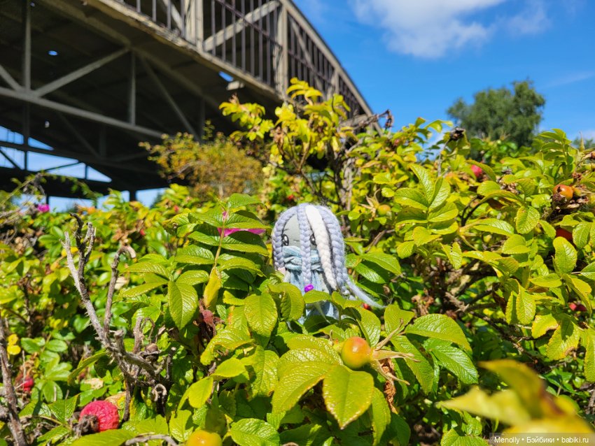 Принцесска из сказки — Домашние фото авторских кукол: личные коллекции