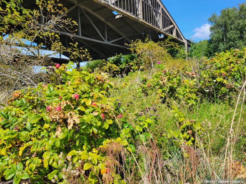 Принцесска из сказки — Домашние фото авторских кукол: личные коллекции
