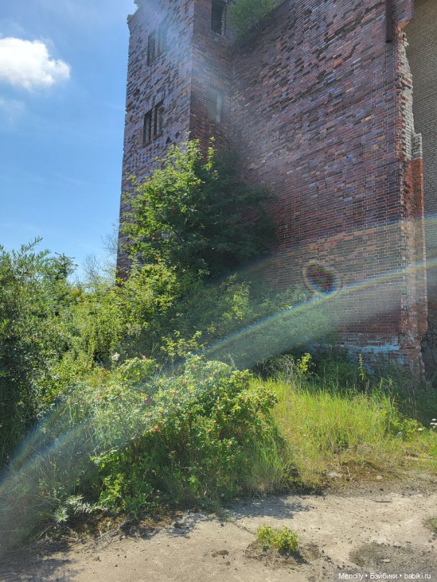 Принцесска из сказки — Домашние фото авторских кукол: личные коллекции