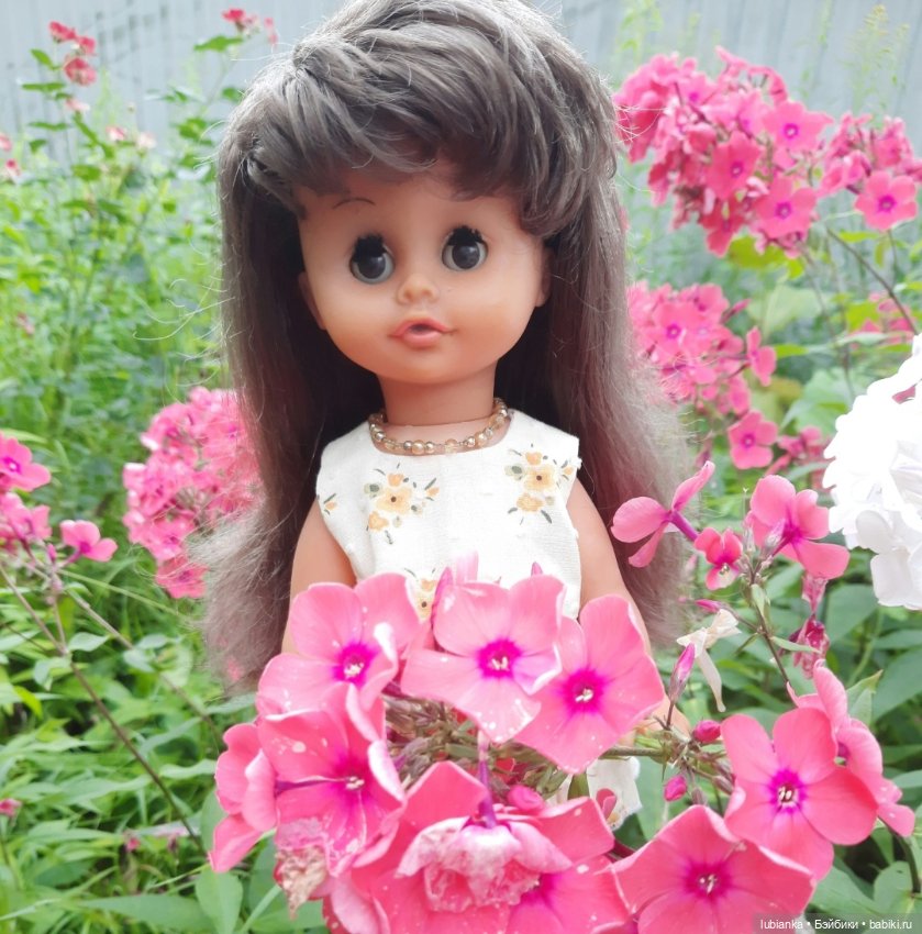 Моя Биггулька-хорошулька💛 (фото 8)