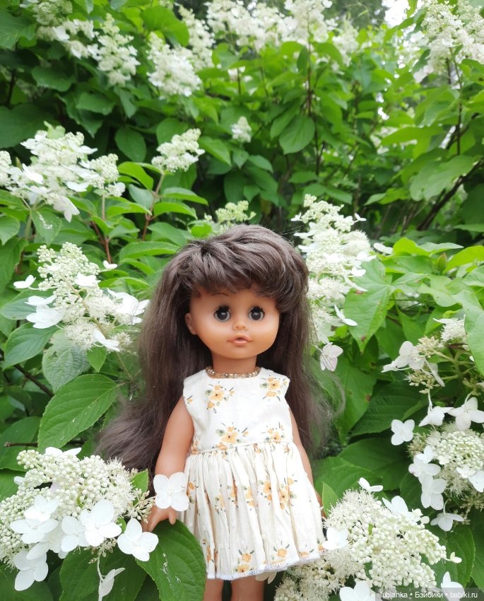 Моя Биггулька-хорошулька💛 (фото 10)