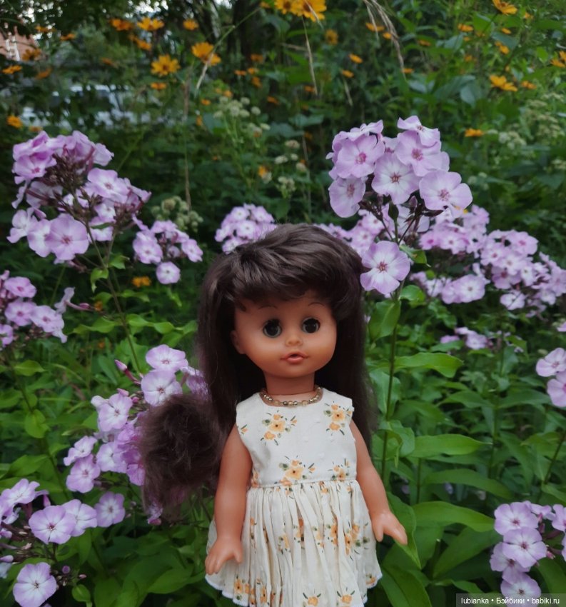 Моя Биггулька-хорошулька💛 (фото 6)