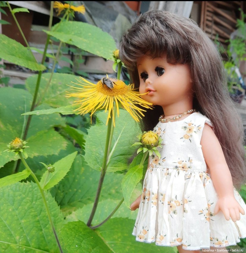 Моя Биггулька-хорошулька💛 (фото 9)