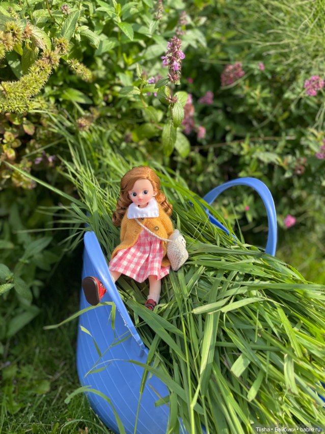 Малышка Рури — Азиатские виниловые куклы (разное): Китай