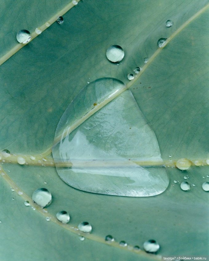 Зелёный июнь-июль — Болталка и разговоры обо всем: жизнь