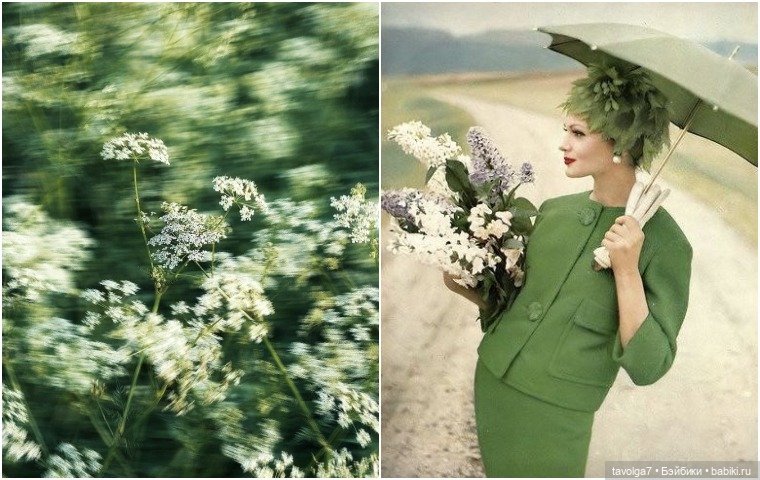 Зелёный июнь-июль — Болталка и разговоры обо всем: жизнь