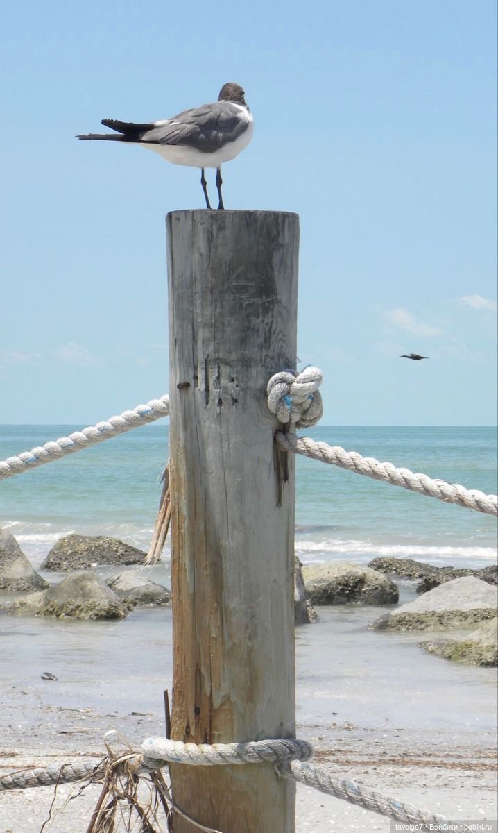 Зелёный июнь-июль — Болталка и разговоры обо всем: жизнь