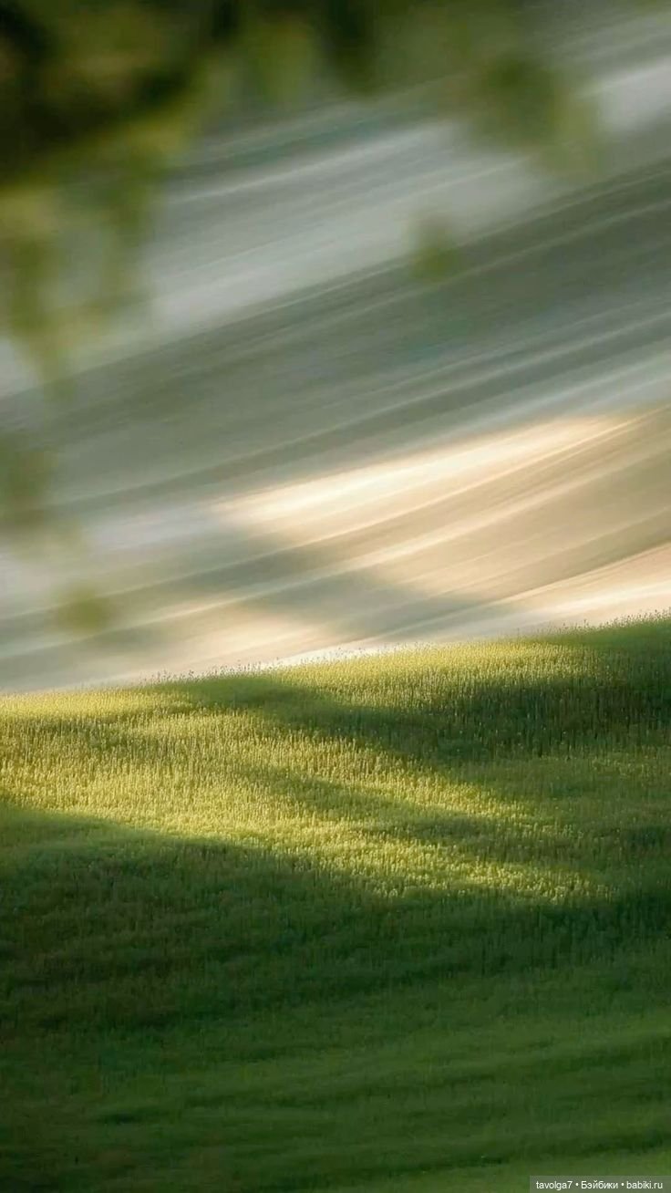 Зелёный июнь-июль — Болталка и разговоры обо всем: жизнь (фото 9)