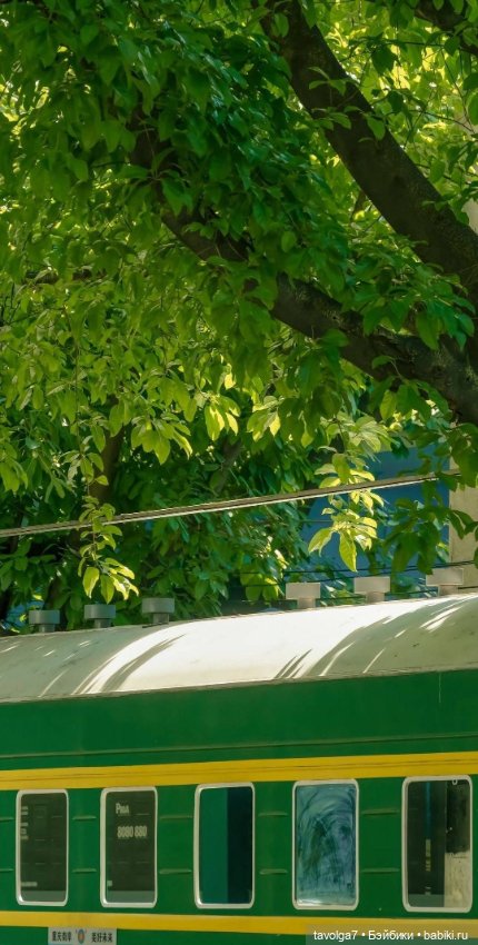 Зелёный июнь-июль — Болталка и разговоры обо всем: жизнь