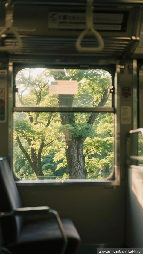 Зелёный июнь-июль — Болталка и разговоры обо всем: жизнь (фото 10)