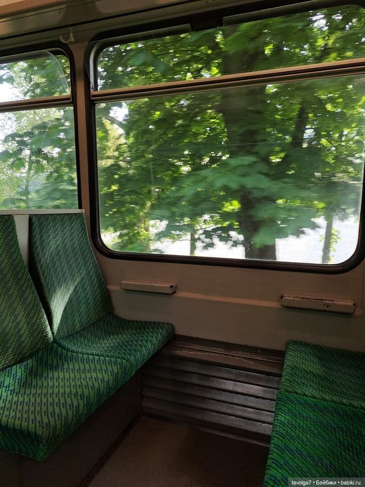 Зелёный июнь-июль — Болталка и разговоры обо всем: жизнь (фото 8)