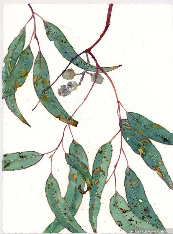 Зелёный июнь-июль — Болталка и разговоры обо всем: жизнь