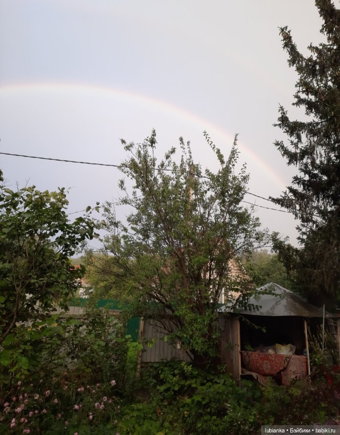 Новая папье-машёвая радость моя🥰💖