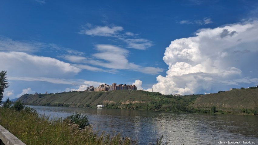 Красота - страшная сила ) Новый гибрид (фото 3)