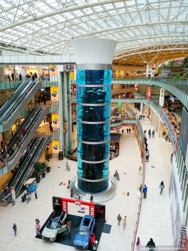 Авиапарк и черничная сова