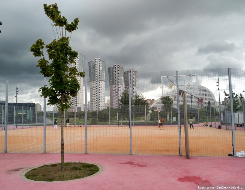 Авиапарк и черничная сова (фото 8)