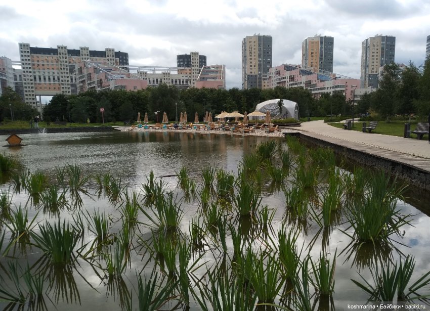 Авиапарк и черничная сова