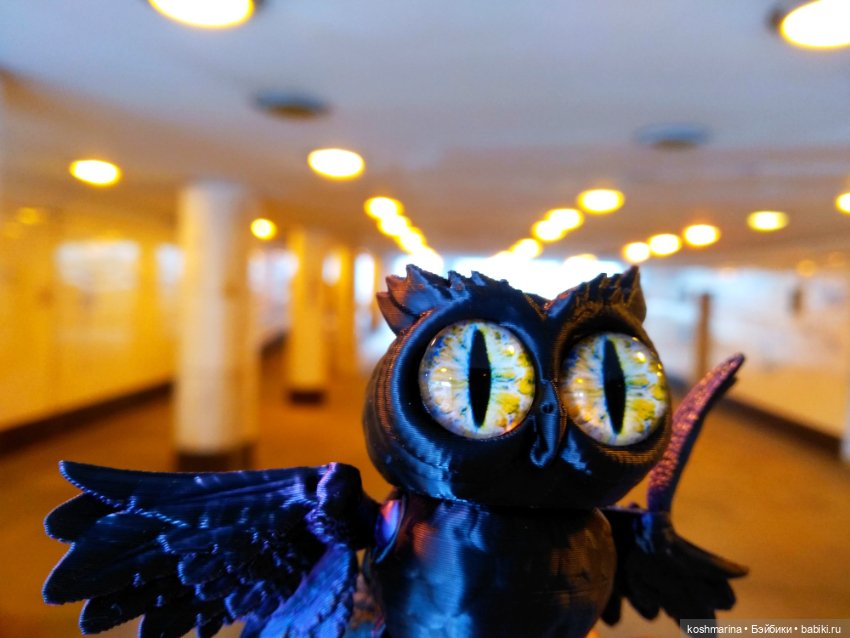 Авиапарк и черничная сова