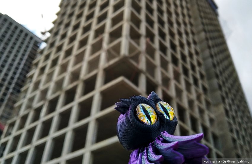 Авиапарк и черничная сова