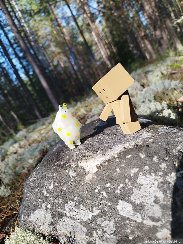 Моя любимая коробочка...Danbo
