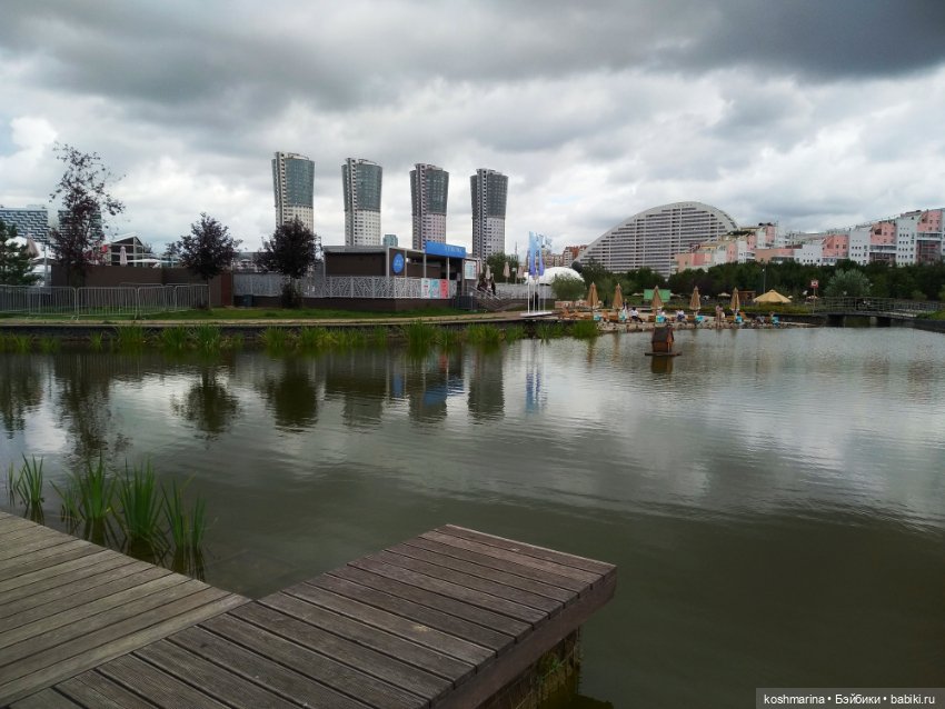 Авиапарк и черничная сова